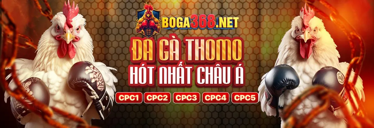 Khuyến Mãi tha bet 2026 Chính Thức Hấp Dẫn Nhất