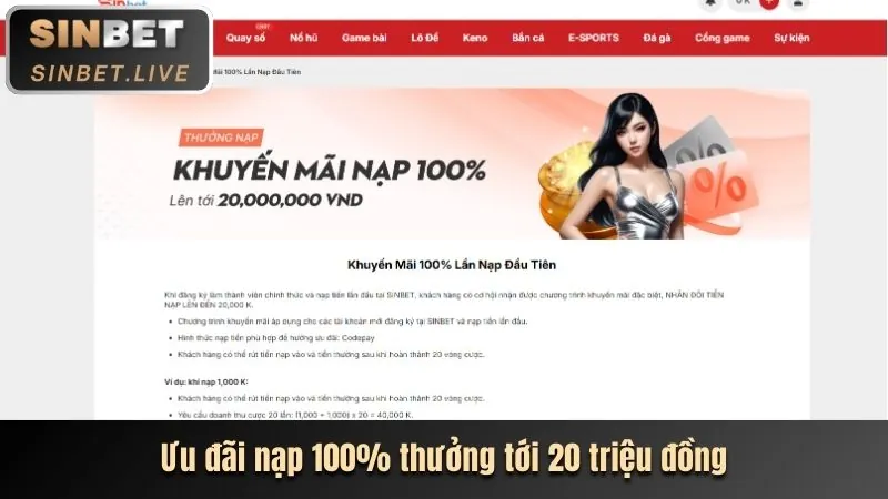 Hoàn trả cược thể thao hàng tuần tha bet